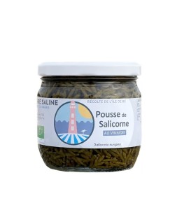 Pousses de Salicorne de l' Ile de Ré au vinaigre, condiment, préparation façon cornichon - Terre Saline