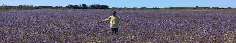 Le Miel de Fleurs Sauvages - Terroir Ile de Ré - Max Api