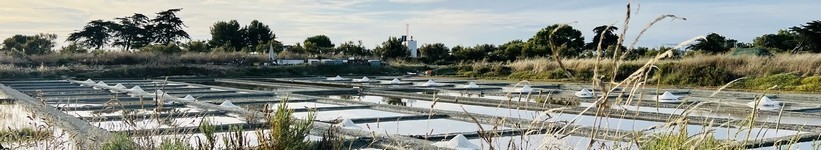 Le Sel Fin de l' Ile de Ré - Terroir de Charentes Maritime