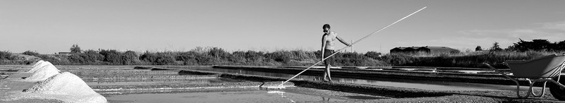 Fleur de Sel du Terroir de l' Ile de Ré