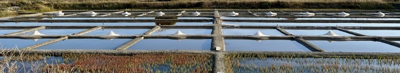 Gros Sel de l' Ile de Ré aux Aromates et Épices - Spécialités Régionales de Charente Maritime