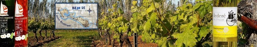 Les Vins de l' Ile de Ré - Terroir de Charentes
